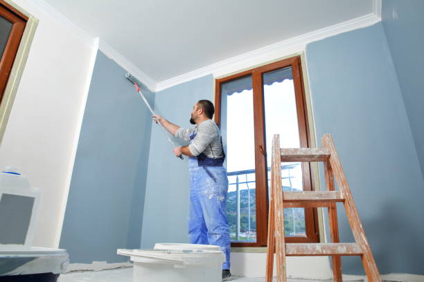 Best Residential Painting  in Millsboro, DE