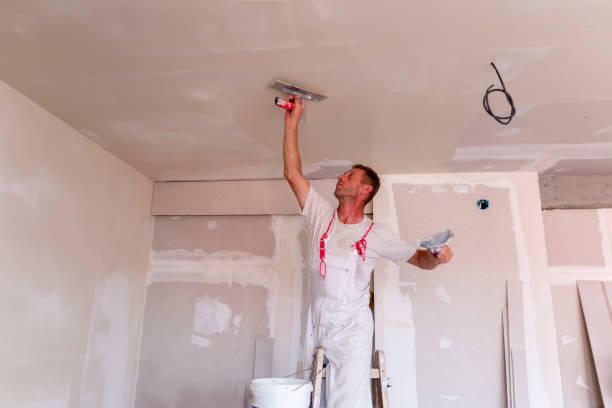 Best Exterior Painting  in Millsboro, DE